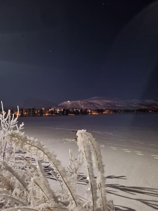 Appartamento 3 Bedrooms Apartment! Close To Aurora Observatory. Tromsø