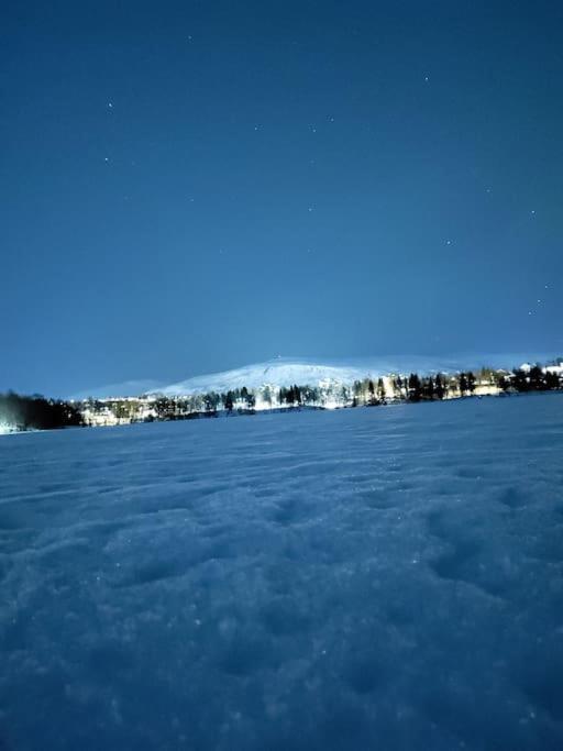 3 Bedrooms Apartment! Close To Aurora Observatory. * Tromsø