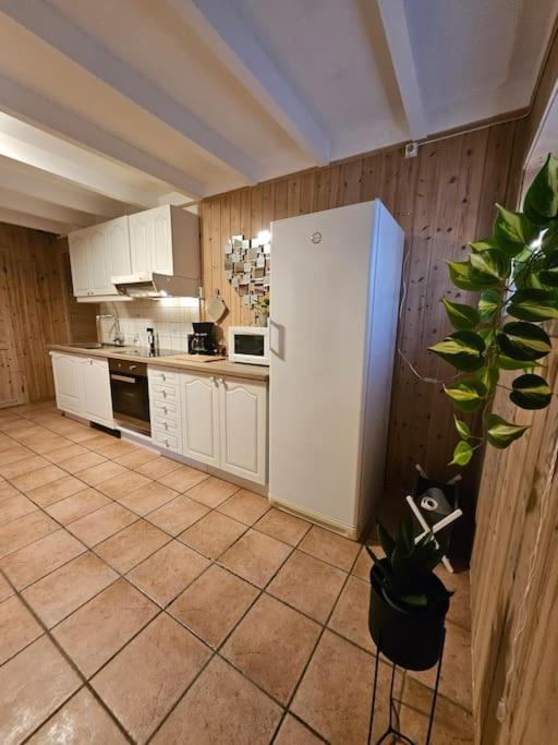 Appartamento 3 Bedrooms Apartment! Close To Aurora Observatory. *