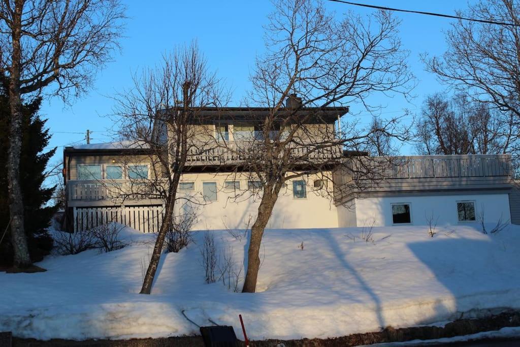 3 Bedrooms Apartment! Close To Aurora Observatory.
