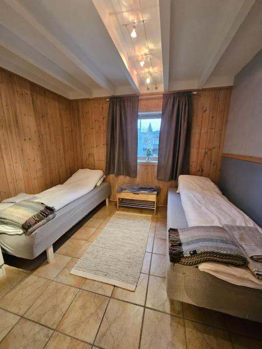 3 Bedrooms Apartment! Close To Aurora Observatory.