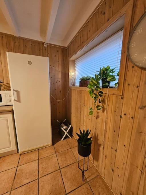 Appartamento 3 Bedrooms Apartment! Close To Aurora Observatory. *