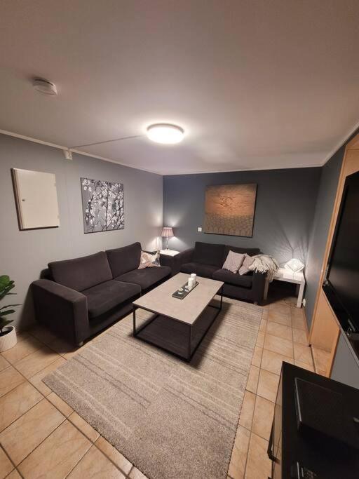3 Bedrooms Apartment! Close To Aurora Observatory. Appartamento *