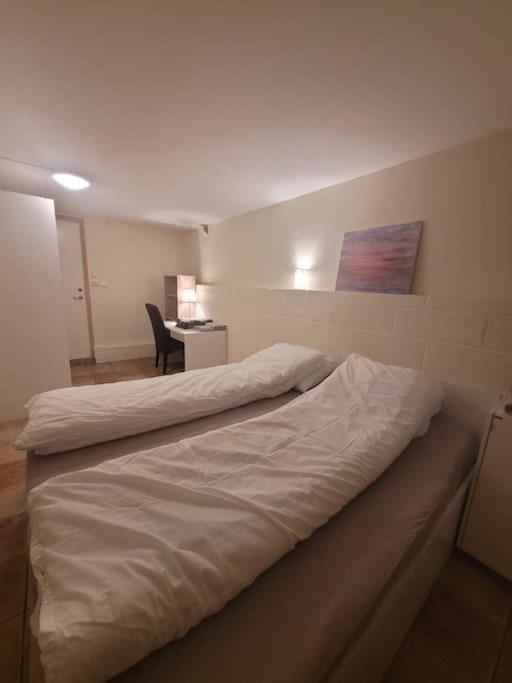 Apartamento 3 Bedrooms Apartment! Close To Aurora Observatory.